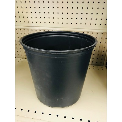 Pot Noir 2 Gallons (7,57 Litres)